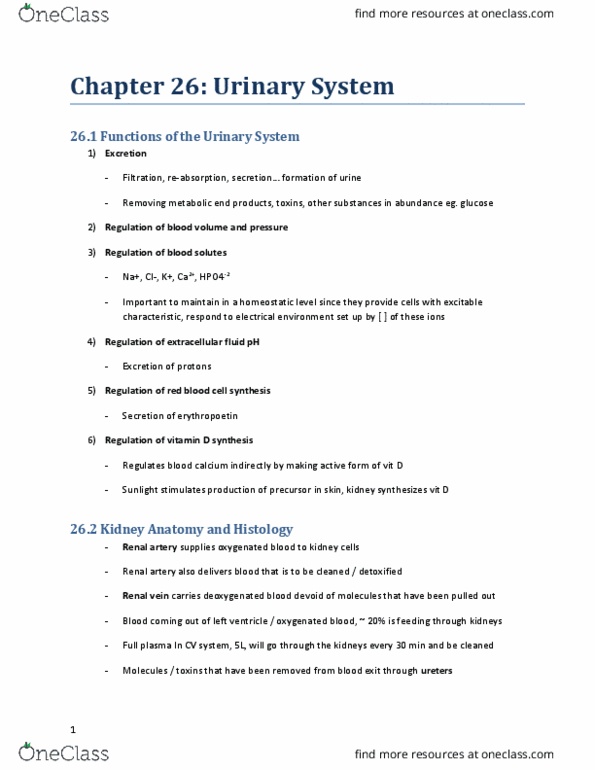 KINESIOL 1AA3 Lecture Notes - Lecture 12: Renal Corpuscle, Renal Blood Flow, Renal Capsule thumbnail