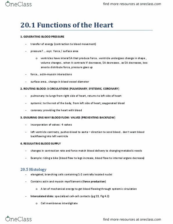 KINESIOL 1AA3 Lecture Notes - Lecture 3: Atrioventricular Node, Purkinje Fibers, Resting Potential thumbnail