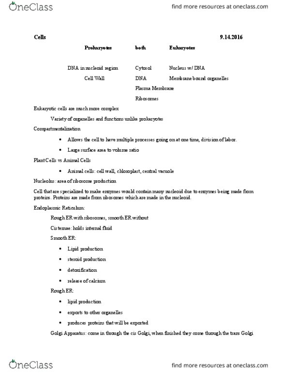 BIO 311C Lecture Notes - Lecture 6: Nucleoid, Cytosol, Chloroplast thumbnail