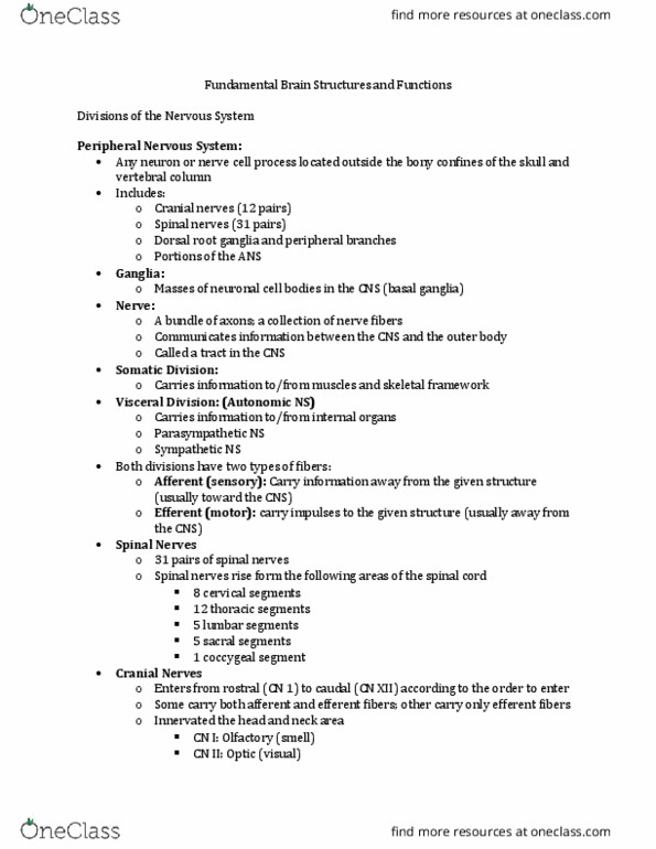 CMD 377 Lecture Notes - Lecture 5: Inferior Frontal Gyrus, Precentral Gyrus, Dorsal Root Ganglion thumbnail