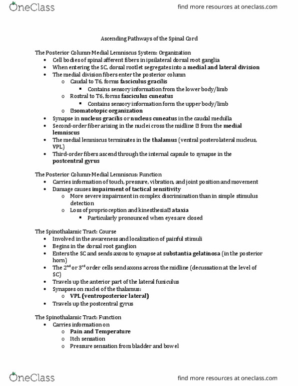 CMD 377 Lecture Notes - Lecture 9: Ventral Posterolateral Nucleus, Medial Lemniscus, Cuneate Nucleus thumbnail