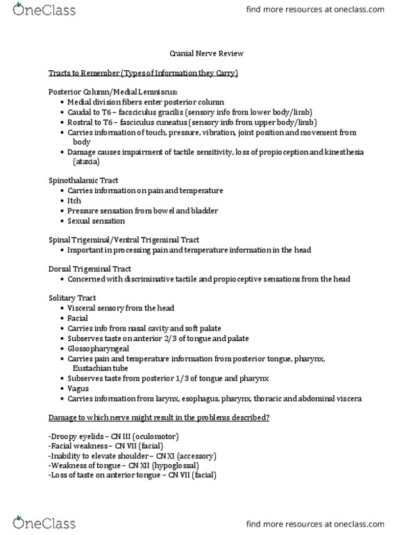 CMD 377 Lecture Notes - Lecture 23: Posterior Column, Tongue, Proprioception thumbnail