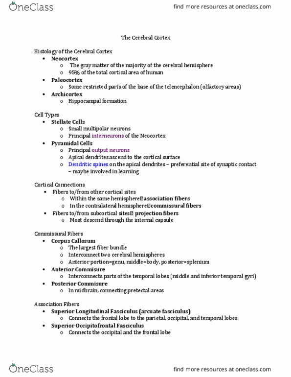 CMD 377 Lecture Notes - Lecture 24: Inferior Parietal Lobule, Superior Parietal Lobule, Inferior Frontal Gyrus thumbnail