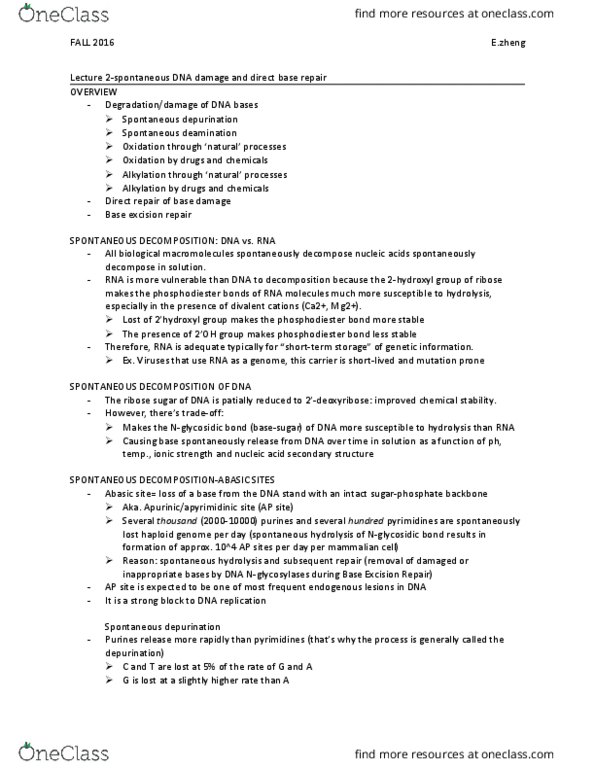 PCL477H1 Lecture Notes - Lecture 2: Reactive Oxygen Species, Glutathione Peroxidase, Dna Repair thumbnail