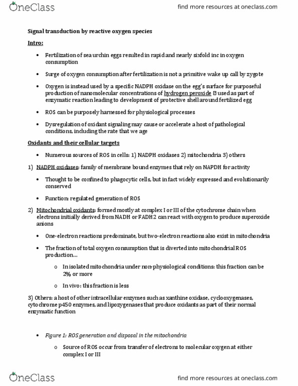 BIOLOGY 3UU3 Chapter Notes - Chapter 4: Cytochrome B5 Reductase, Superoxide Dismutase, Cytochrome P450 thumbnail