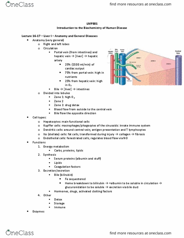 LMP301H1 Lecture Notes - Lecture 16: Antigen, Immunoglobulin G, Glutamic Acid thumbnail