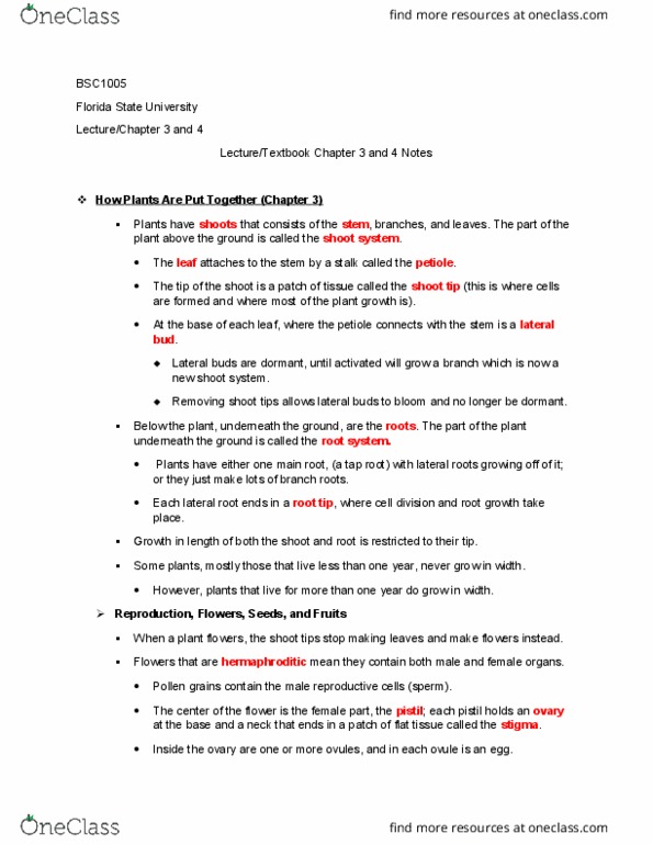 BSC-1005 Chapter Notes - Chapter 3-4: Pollen Tube, Stamen, Plant Reproduction thumbnail