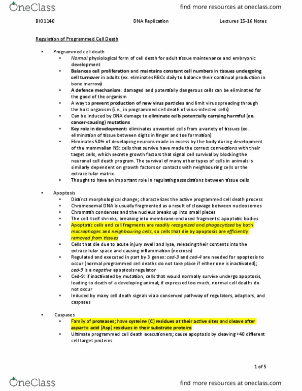 BIO 1140 Lecture Notes - Lecture 5: Thyroid Hormones, Kinesin, Apoptosome thumbnail