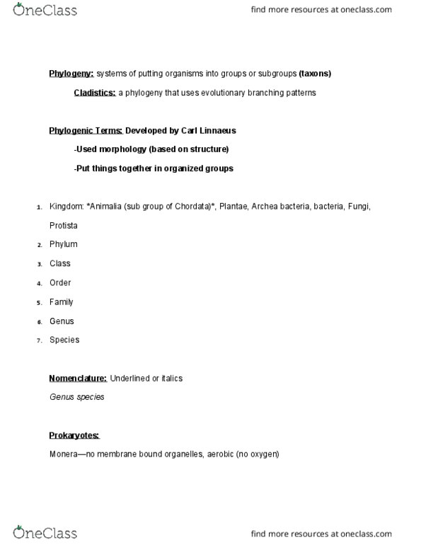 CAS PS 211 Lecture Notes - Lecture 6: Symmetry In Biology, Gastrovascular Cavity, Carl Linnaeus thumbnail