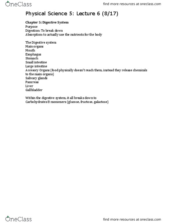 PHYSCI 5 Lecture Notes - Lecture 6: Submandibular Gland, Enzyme, Parotid Gland thumbnail