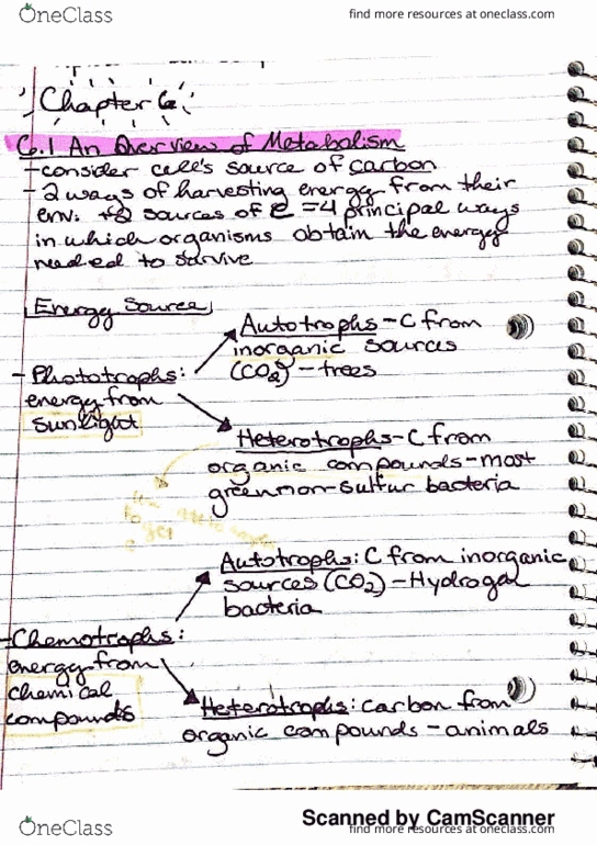 BIO-1801 Chapter 6.1-6.5: Chapter 6 ATP and Cellular Energy thumbnail