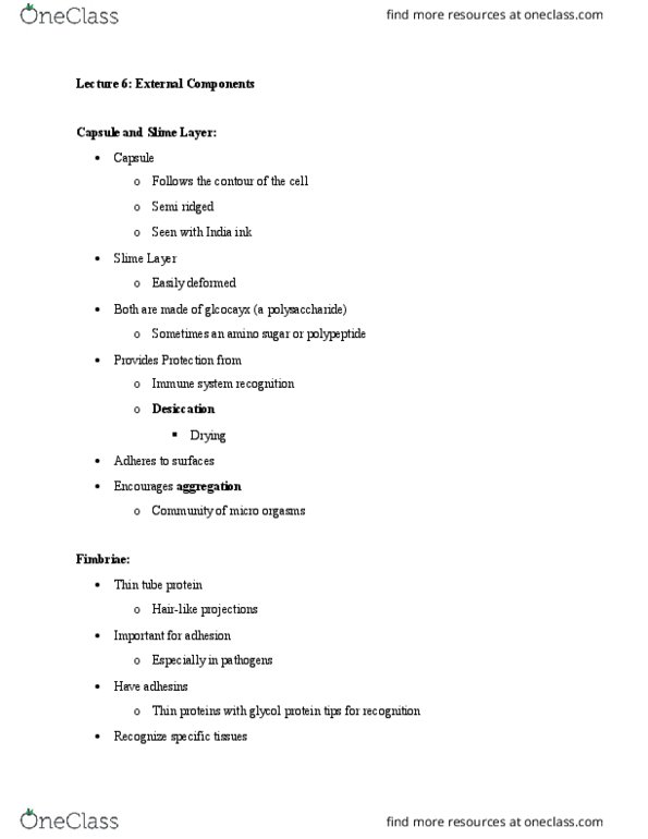 MMG 301 Lecture Notes - Lecture 6: Tissue Tropism, Polysaccharide, Desiccation thumbnail