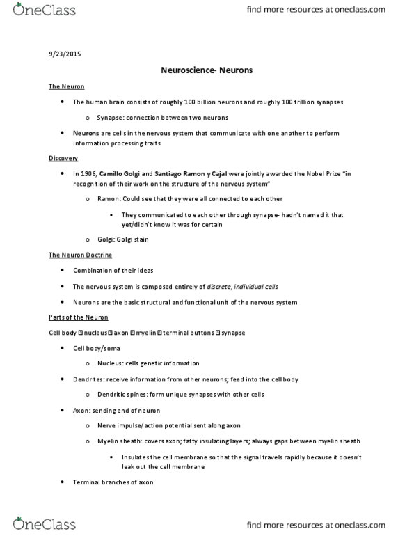 PSYC 1101 Lecture Notes - Lecture 4: Camillo Golgi, Resting Potential, Andrew Huxley thumbnail