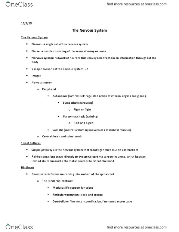 PSYC 1101 Lecture Notes - Lecture 6: Electroencephalography, Midbrain Tectum, Sensory Cortex thumbnail