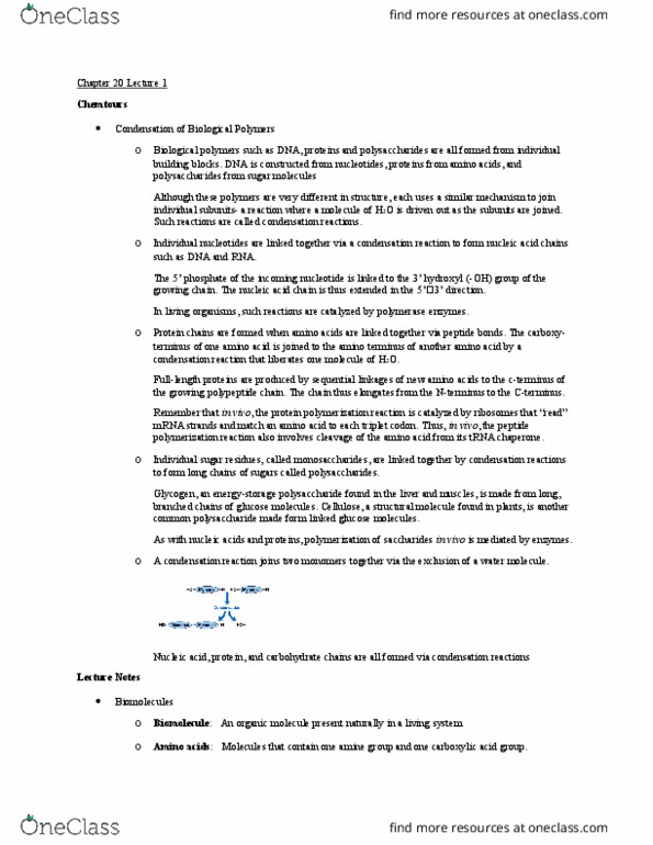 CHEM 1214 Lecture Notes - Lecture 1: Polysaccharide, Biomolecule, Glycogen thumbnail