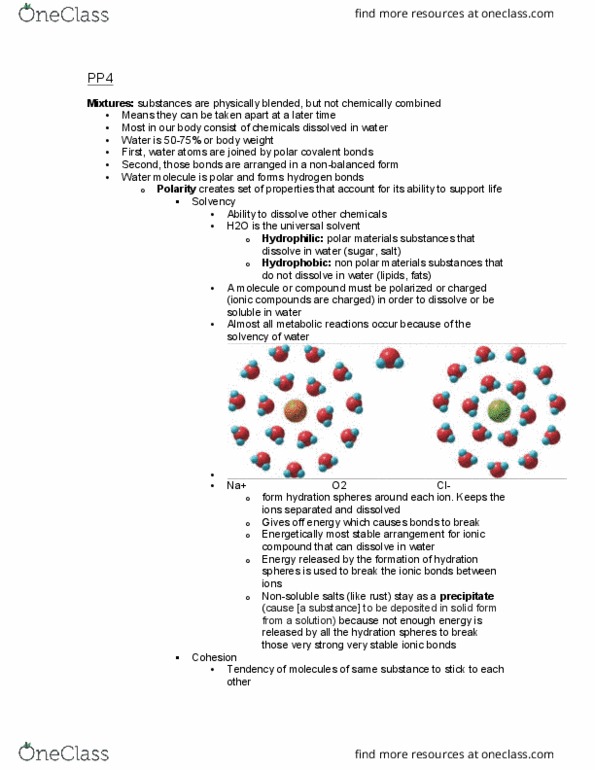 BIOL 1117 Lecture Notes - Lecture 4: Ph1B, Heat Capacity, Logarithmic Scale thumbnail