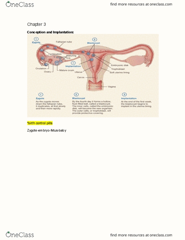 PSYC 3404 Lecture Notes - Lecture 5: Caesarean Section, Birth Weight, Somnolence thumbnail