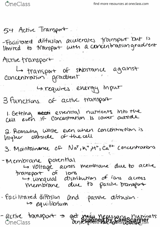 BIOL 1107 Chapter 5.4: Whole thumbnail