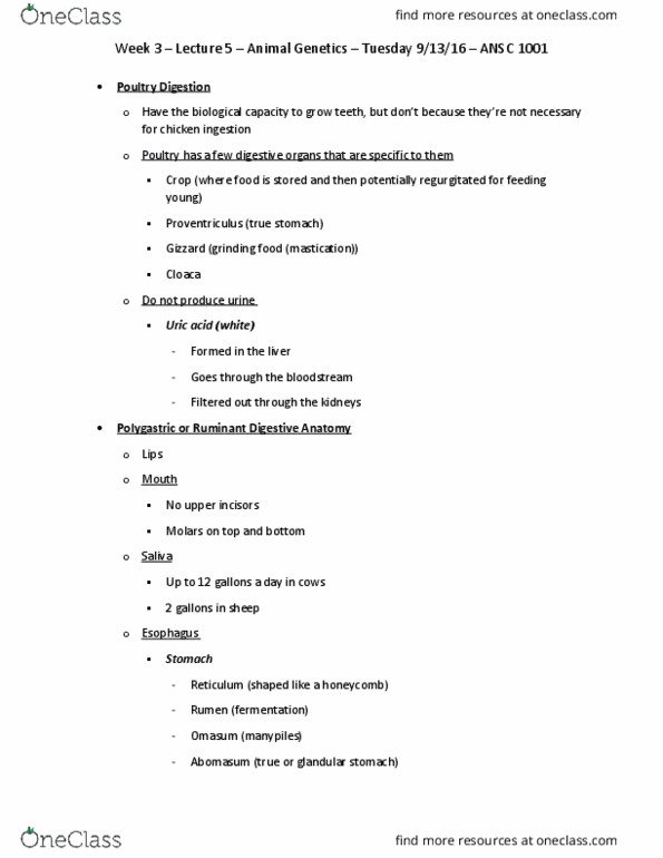 ANSC 1001 Chapter Notes - Chapter 6: Omasum, Proventriculus, Abomasum thumbnail