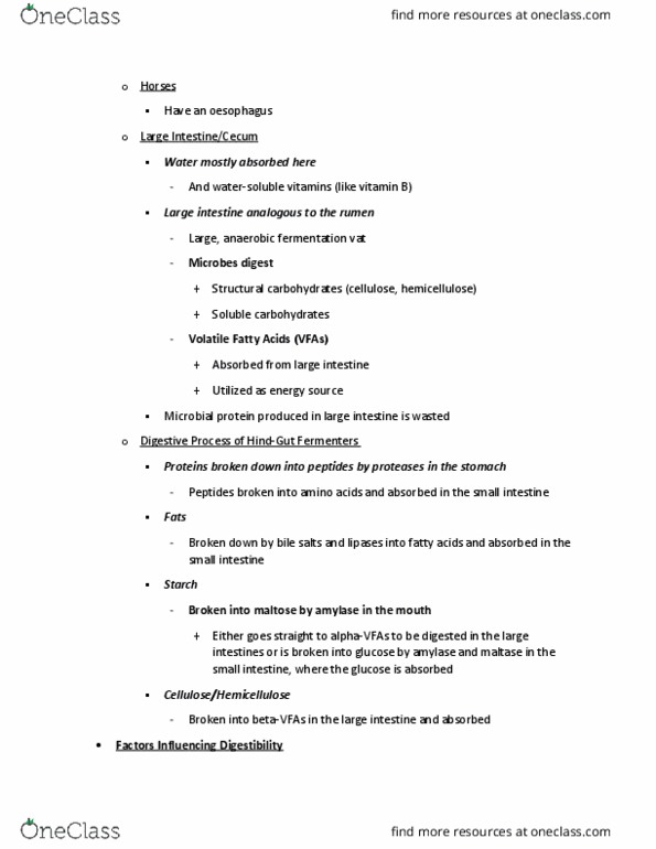 ANSC 1001 Chapter Notes - Chapter 6A: Bile Acid, Hemicellulose, Maltase thumbnail