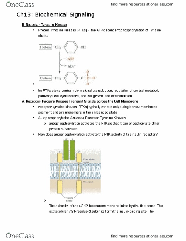 document preview image