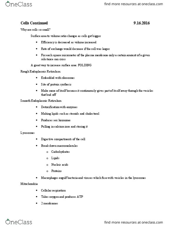 BIO 311C Lecture Notes - Lecture 7: Endoplasmic Reticulum, Cell Membrane, Chlorophyll thumbnail