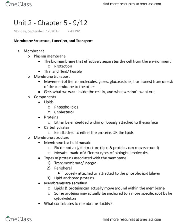 BIOL 2051 Lecture 5: Unit 2 - Ch. 5 - 9/12 thumbnail