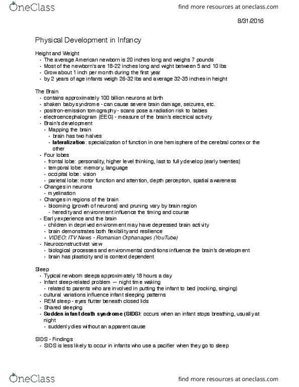 PSYC 250 Lecture Notes - Lecture 4: Low Birth Weight, Occipital Lobe, Parietal Lobe thumbnail