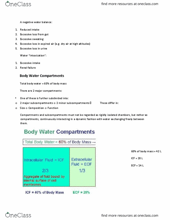 PHGY 209 Lecture Notes - Lecture 21: Dynamic Equilibrium, Water Intoxication, Body Water thumbnail