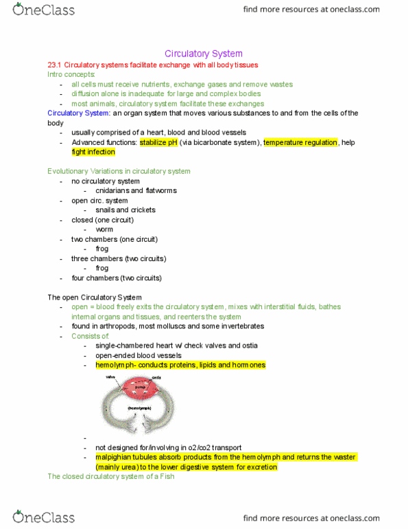 BIOL-1030 Lecture Notes - Lecture 9: Angioplasty, Abdominal Cavity, Qrs Complex thumbnail