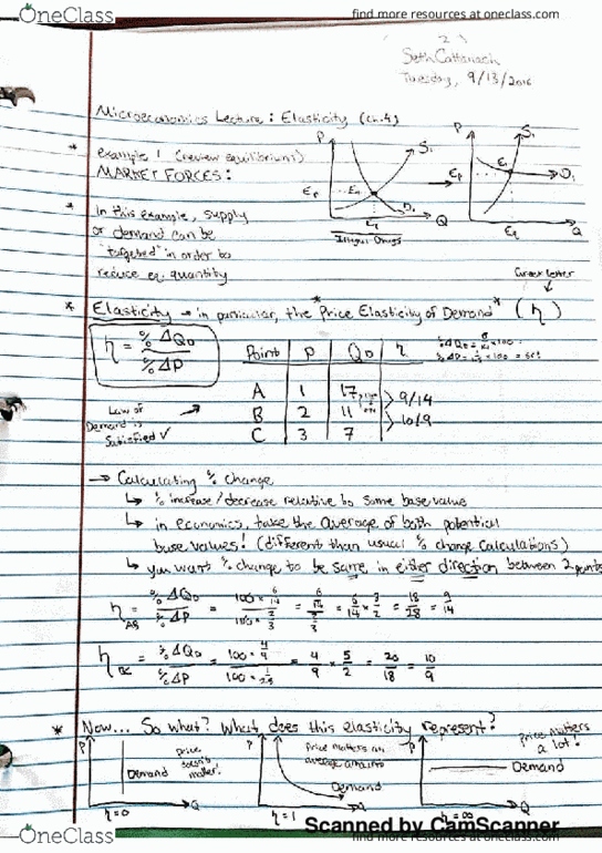 ECON 10010 Lecture 6: Elasticity and Market Forces thumbnail